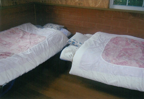 ペット同伴部屋ツイン